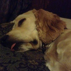 Meet your Posher, Tami